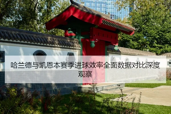 哈兰德与凯恩本赛季进球效率全面数据对比深度观察